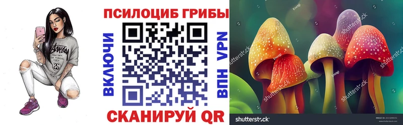 Галлюциногенные грибы мицелий  где купить   Надым 